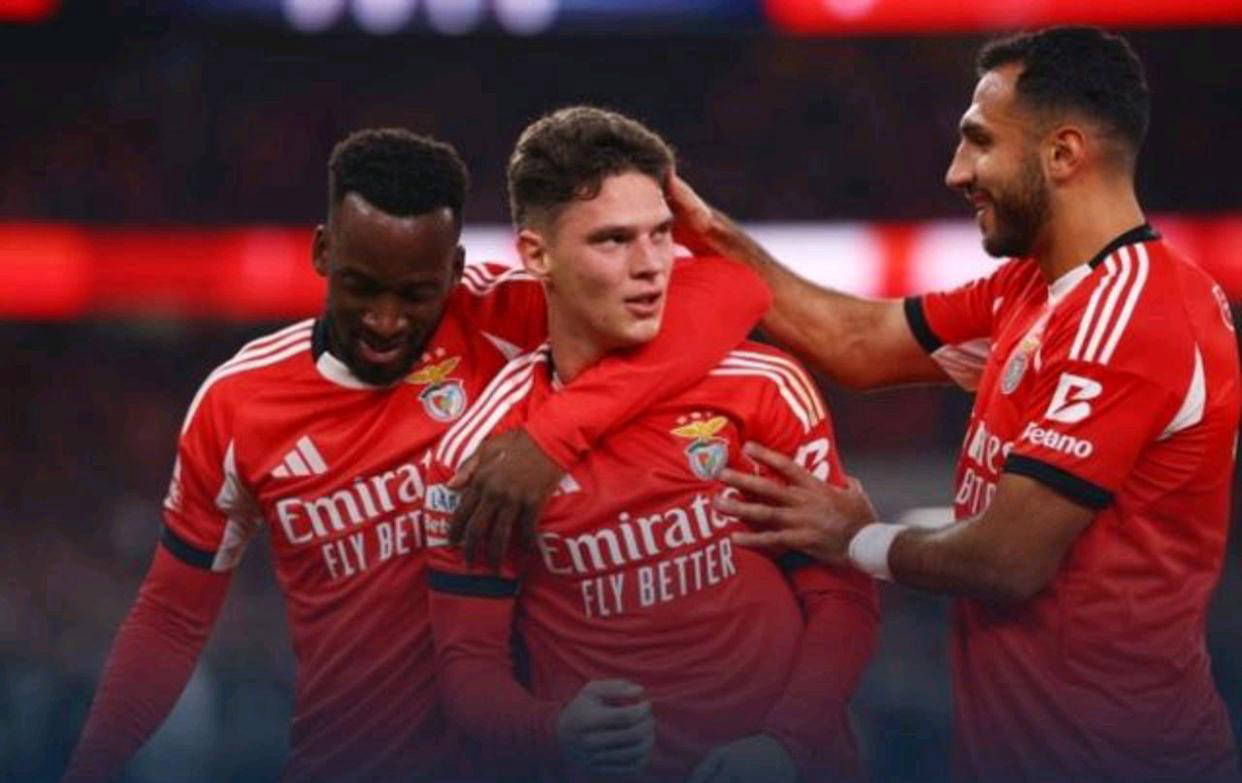 离谱！Rookie遭遇五连败冲刺阶段本菲卡备战CBA常规赛，本菲卡围绕法甲再遭质疑的简单介绍