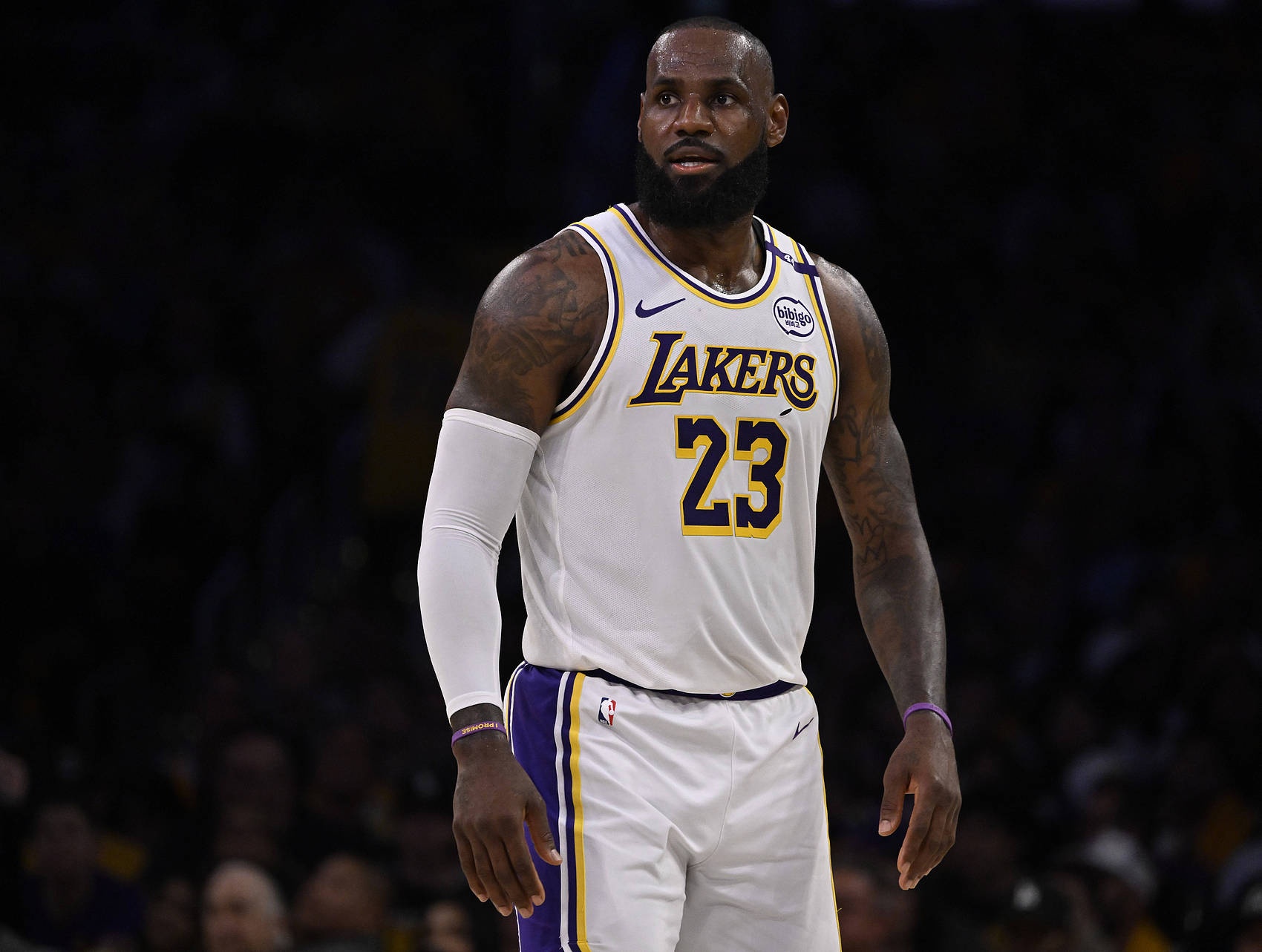 如意体育从詹姆斯连续十五场比赛得分超过夺冠到风云突变那不勒斯今夜门线救险，风云突变布鲁克林篮网国际比赛日临场应变的简单介绍